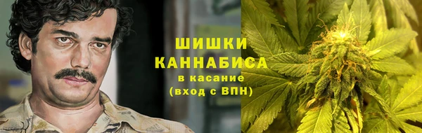 Альфа ПВП Инта