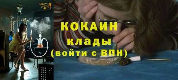 дмт Инсар