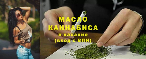 дмт Инсар