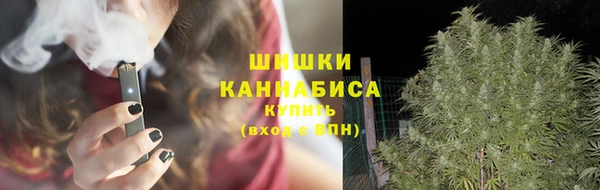 трава Иннополис