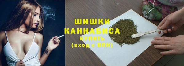 дмт Инсар