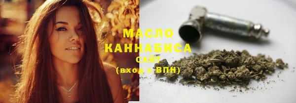 дмт Инсар