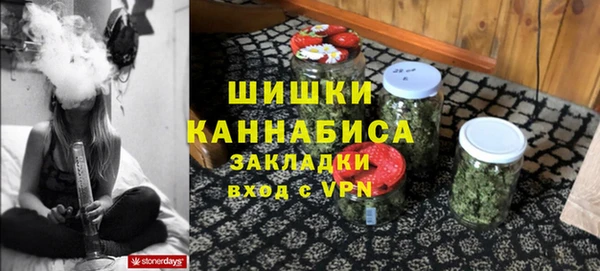 трава Иннополис