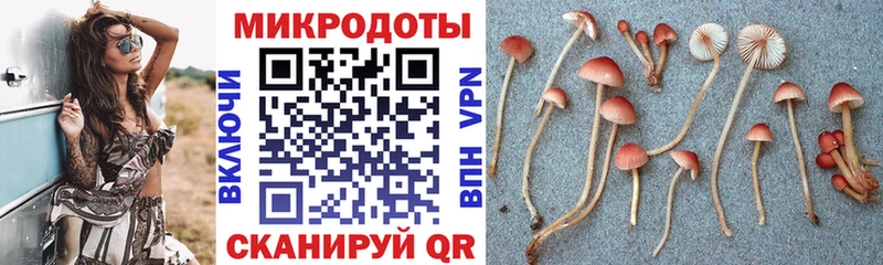 Псилоцибиновые грибы прущие грибы  Купить  Верхняя Тура 